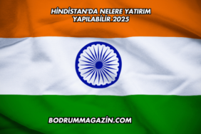 Hindistan'da Nelere Yatırım Yapılabilir 2025