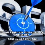 Google Bilgi Panelinin İşletmelere Faydaları Nelerdir?